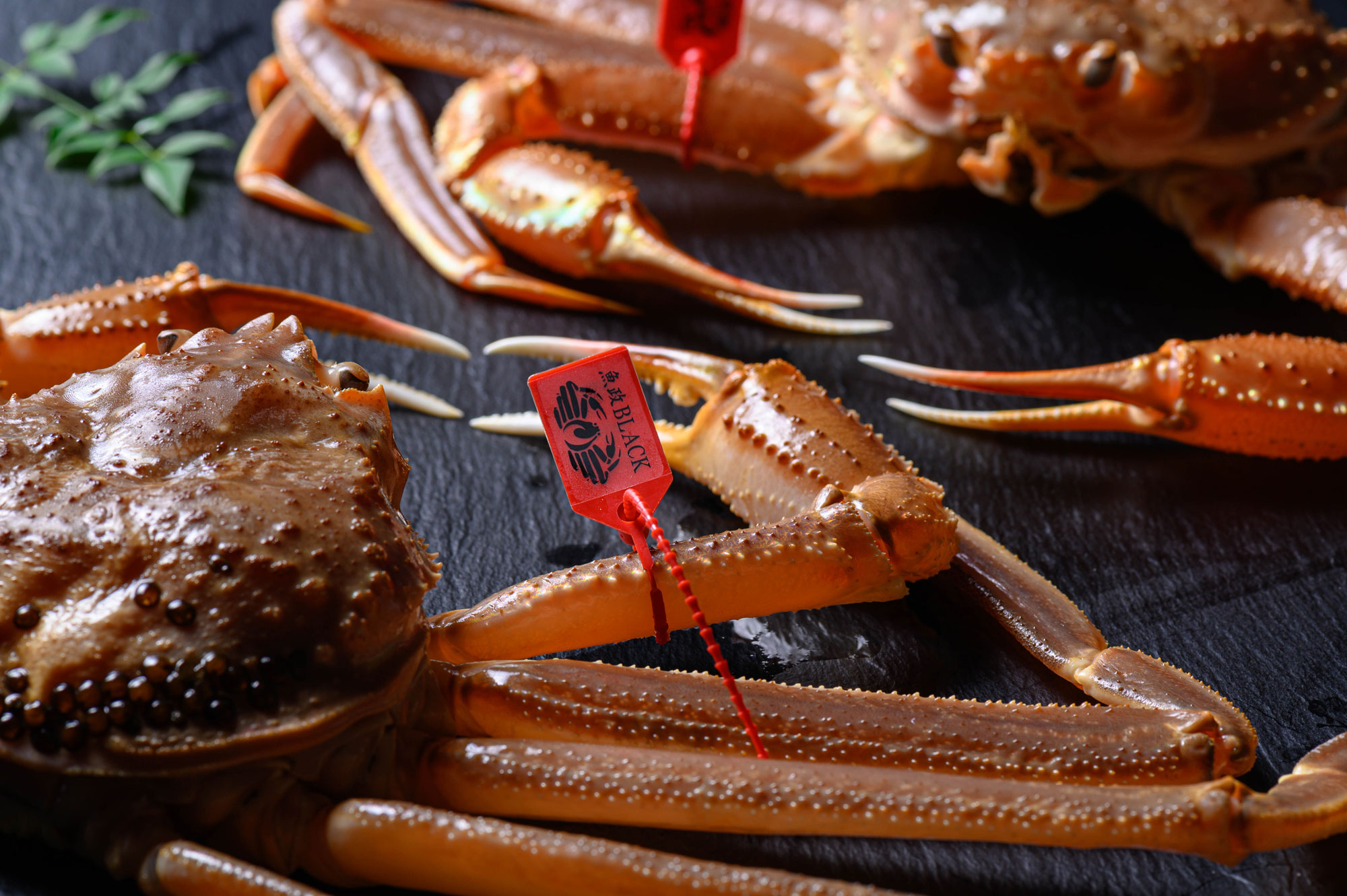 カニの量の目安|人数・食べ方・ご予算に合わせた選び方