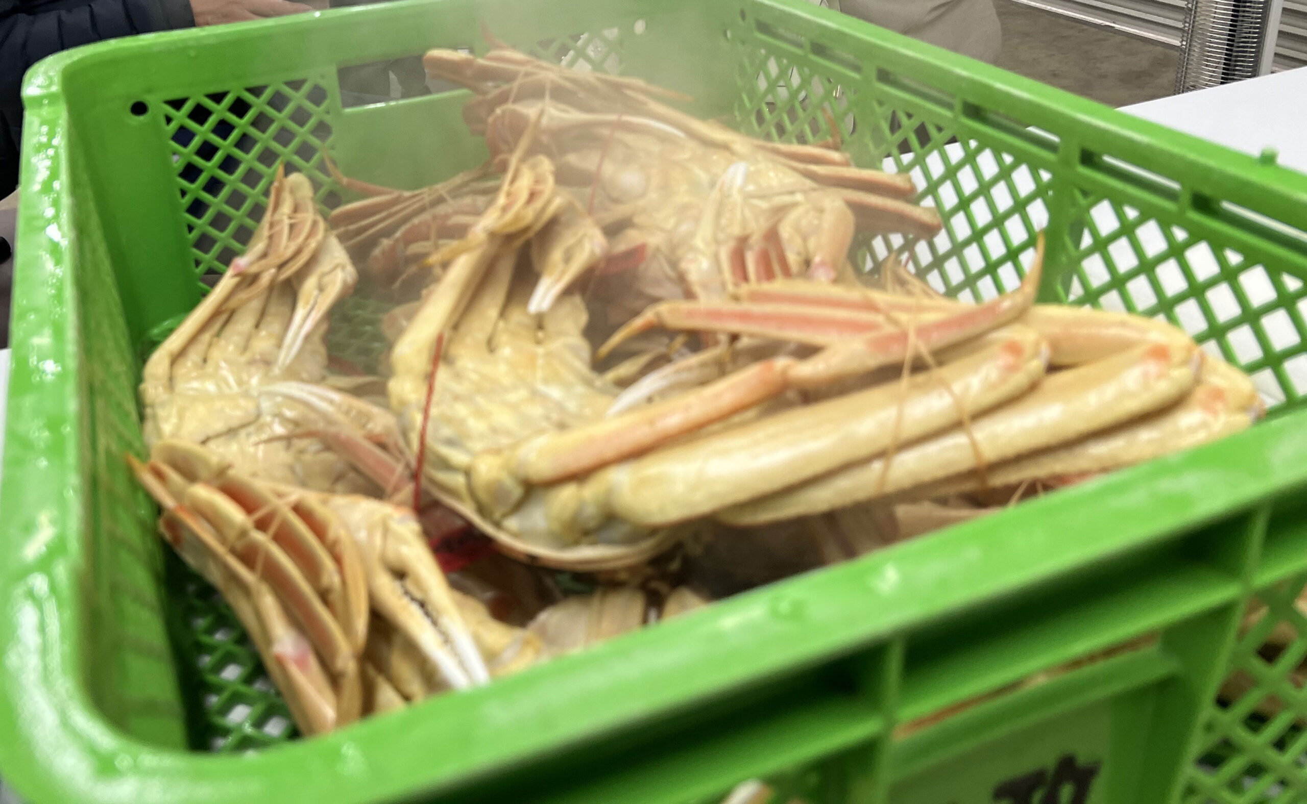 茹でたてのカニが味わえる！魚政マリンスポット『かにべん』